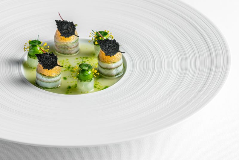 Suhring -dish-1 hero _W50BR25_LIP